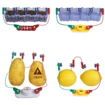 초등 유치원 과학 수업 과일 전기 회로 만들기 키트 과학만들기 어린이