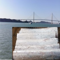 갈치3마리 9토막 목포갈치, 3