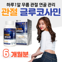 종근당 N 아세틸 글루코사민 N-아세틸 관절 연골 무릎 손목 건강 도움 디메틸설폰 MSM 엠에스엠 상어 연골 해조 분말 생선 콜라겐 비타민C 비타민B2, 2통, 600mg x 90정 (하루 1정)