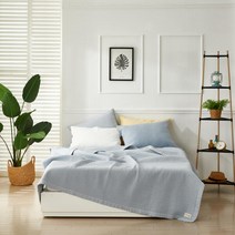 샤르르 라벨르 80수 목화 스프레드 S 풀세트