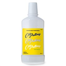 오일풀링 자몽향 가글액(알란토인) 500ml 2개입 세트, 단품