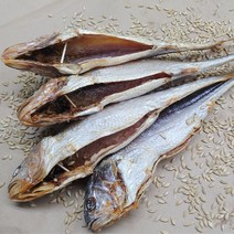 오징어군땅콩양 보리굴비 영광 법성포 왕특대 부세 내장제거 손질 (개별진공) 대 30cm이상부터 가정용, 10마리, 왕특대32cm이내