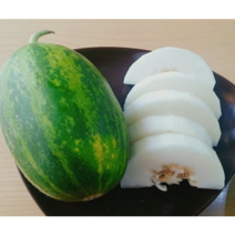 고당도 당일수확 당일발송 시원 달콤한 파파야메론, 10kg, 1개