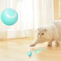 스마트 캣볼 셀프 무빙 고양이 장난감 반려묘 강아지 반려견 동물 놀이 저소음 실내 공놀이, 민트 블루