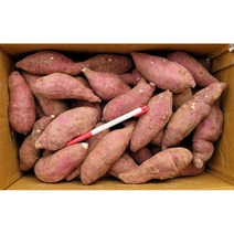 맛있는 꿀고구마 2kg 5kg 10kg 못난이 고구마 10kg, 고당도 꿀고구마(못난이) 2kg (크기랜덤), 1개