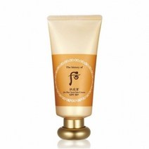 공진향 진해윤 선크림 60ml