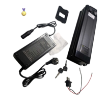 전기 자전거 리튬 배터리 48v 13ah 15ah 16ah 30a bms 포함, 협력사, 48v 20ah 1000w 5a