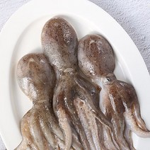 [KT알파쇼핑][당일조업]2023년 태안에서 온 활쭈꾸미 1kg(7~12미내외)