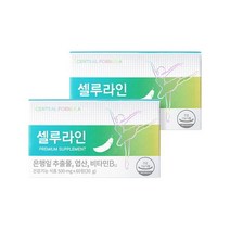 혈행개선 종아리 다리 부종 붓기완화 셀루라인 프리미엄 2박스, 2개