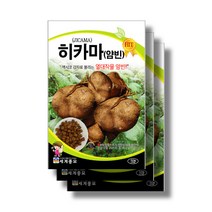 히카마씨앗 50립x3 jicama seeds, 50립x6