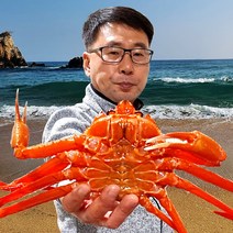 속초& 후포 일반형 홍게 3kg(7~11미) 가성비 갑 / 고급형_프리미엄형_박달형_연지홍게 선택가능 붉은대게 대게, 06_2. 자숙(찜) 고급형 3kg