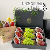 과일엔 항공직송 프리미엄 고당도 애플망고 태국망고 샤인머스켓 과일 선물세트, 7.5kg 특품 나주배 선물세트, (7.5kg 9-10과)