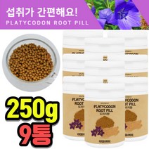 국내산 도라지환 길경 산도라지 사포닌 환 겨울 환절기 가래 마른 기침 기관지 관리 중 장년 엄마 부모님 가족 선물 추천 250g 9통, 250g x 9통