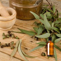 유칼립투스 천연 에센셜 오일 아로마 디퓨저 캔들 향오일, 50ml