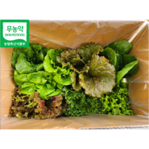 친환경 무농약 유러피안 샐러드 상추 1kg 로메인 버터헤드 바타비아 크리스탈 당일 수확 당일 출고 수경재배 무농약 상추, 1개