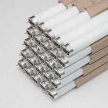 비츠온 직관 형광등 FLR 32W 1박스=25개, 주광색(흰색빛) 25개