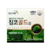 영진약품 징코골드 혈행 기억력개선 영양제, 60캡슐