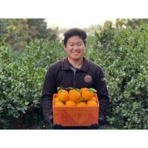 [제직증명] 초신선 한라봉 1월특가(한정수량), 표선농협 귤로장생 가정용 4.5kg 중소과(22-24)