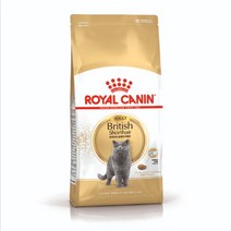 로얄캐닌 캣 브리티쉬숏헤어 어덜트 10kg, 1개