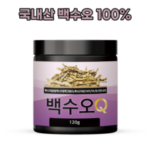 백수오 분말 가루 파우더 추출분말 국내산 백수오차 티 가루분말 120g, 1통