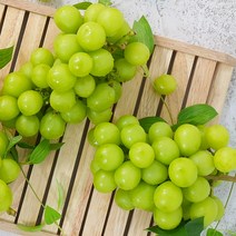 고당도 샤인머스켓 포도 망고포도 애플포도, 1kg 상 2수