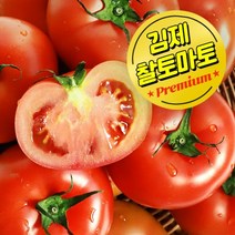 와이즈플러스 스마트팜 청년농부 정품 토마토 2개 4개 10개 15개 20개, 4개(600g이상)