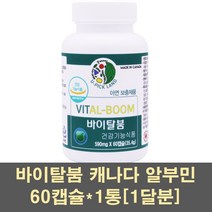 남자아연 알부민 징크 아연 난백 호손베리 로얄제리 인삼 분말 임신준비 글루콘산아연 영양제 캐나다 식약처 간건강 신장 수술후 면역력 가족, 1통, 60캡슐