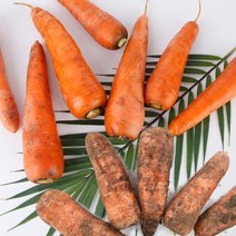 국내산 햇당근 건강한 흙당근 2kg~10kg, 2kg (중), 1박스