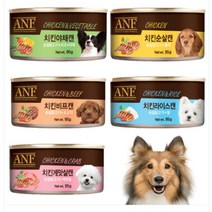 에이엔에프 강아지 간식캔, 치킨 + 야채 혼합맛, 95g, 24개입