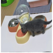 새끼 고양이 강아지 식기 식수기 생후 2개월 3개월 4개월 5개월 밥그릇 물그릇 수반, 오렌지