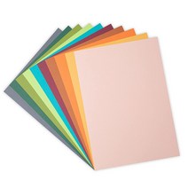 Sizzix Surfacez 카드스톡 21.6cm x 29.2cm(8 1/4인치 x 11 3/4인치) 10가지 다양한 색상 60Sh 664873 멀티컬러