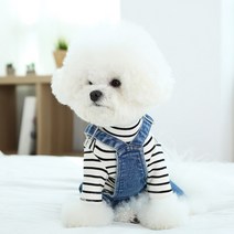 레어밍스 강아지 데님 멜빵 팬츠, 블랙