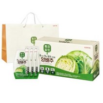 롯데헬스원 통짜발효 양배추 즙 + 쇼핑백, 2700ml, 3개