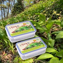 산지직송 울릉도 명이생채 산마늘 명이나물 절임 800g