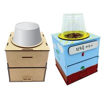 폐품재활용 식물공장 만들기 / 생명과학 페트병 콩나물 완두콩 키우기, 콩나물 키우기