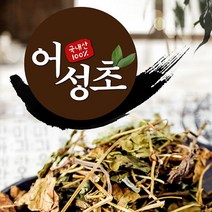 제천약초생활건강 어성초 200g, 1개, 제천약초생활건강어성초200g