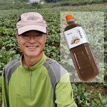 진황생강원액 진액 생강차 생강청 생강즙 500ml 1000ml