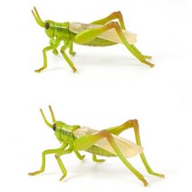 곤충학습 메뚜기 모형완구 영아용장난감 관찰 과학교구 파충류 아동기관 사고력 동물