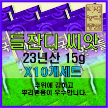 [23년산 국내생산] 미래종묘 한국 들잔디 15g (X10개세트)- 착근력 우수 산소용 골프장용 전원용