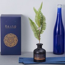 레이나퍼퓸 프리미엄 보스턴 플라워디퓨저 200ml, 블랙_유칼립투스