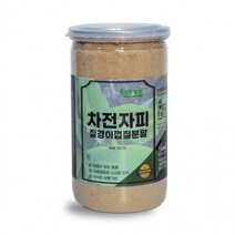 약초뜰팡 차전자피분말 400g 밀폐통 질경이씨앗껍질, 단품, 단품