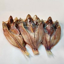 반건조 열기(찜.구이용) 1마리, 단품