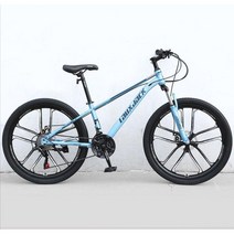 ( MTB 산악자전거 ) 26인치 입문용 크로스컨트리 자전거 21/24단, 21단, 10나이프 휠 - 블루 (프론트샥)