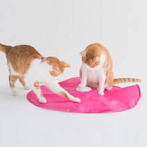 묘심 캐치더테일 고양이 자동장난감 쥐꼬리잡기