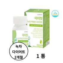 녹차 카테킨 다이어트 체지방 콜레스테롤 결혼전 감량 녹차추출분말 치커리뿌리추출분말 가르시니아 비타민C 식약처인증 유기야채혼합분말 20대 30대 뱃살 허리살