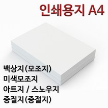 종이백화점 인쇄용지 A4 백상지 모조지 미색모조지 아트지 스노우지 중질지 중절지 주보용지 상장용지, 100g 스노우지 A4, 250매