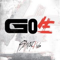 [개봉앨범] 포토카드 미포함 스트레이키즈 Stray Kids 앨범 고생 Go Live | Red 버젼