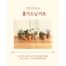 허브 라벤더 애플민트 바질 직접 심어보는 인디고팟 홈가드닝 DIY 재료 키트, 몬스테라, 테라코타 토분