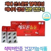 산후 철분 영양제 40대 50대 60대 여성 여자 중년 청소년 빈혈에좋은