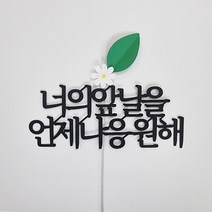 루아룰루 응원 케이크 토퍼 심플 너의 앞날을 언제나 응원